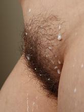 Atk Hairy